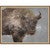 Snowfall Bison Wall Art