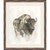 Mystic Bison I Wall Art