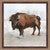 December Bison II Wall Art