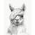 Monochrome Llama VI Canvas Wall Art