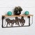 Horse Stampede Wall Shelf