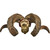 Beaded Ouachita Skull - Red
