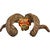 Beaded Ouachita Skull - Multicolor