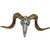 Beaded Ouachita Skull - Large