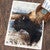 Buffalo Spirit Rug - 3 x 4