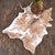 Light Brindle Cowhide Rug Collection