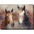 Equestrian Beauty Outdoor Wall Art