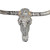 Authentic Longhorn Skull with Platinum Glass