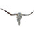 Authentic Longhorn Skull with Platinum Glass