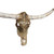 Authentic Longhorn Skull with Rose Gold Ombre Glass