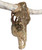 Authentic Longhorn Skull with Rose Gold Ombre Glass
