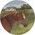 Horse Farm Salad Plates - Set of 4