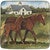 Horse Farm Canape Plates - Set of 4