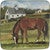 Horse Farm Canape Plates - Set of 4