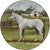 Horse Farm Dinner Plates - Set of 4