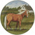 Horse Farm Dinner Plates - Set of 4