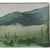 Field of Cactus Outdoor Doormat