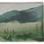 Field of Cactus Outdoor Rug - 2 x 3
