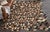 Cowhide Mosaic Rugs - Brown