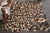 Cowhide Mosaic Rug - Brown - 5 x 9 - OUT OF STOCK UNTIL 06/25/2025