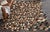 Cowhide Mosaic Rug - Brown - 8 x 12