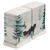 Winter Sleigh Salt & Pepper Set