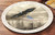 American Eagle Lazy Susan Turntable