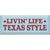 Texas Blue Skies Wall Art