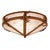 Crawling Gecko Flush Mount Ceiling Light