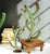 Dancing Cactus Metal Sculptures - Set of 2