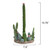 Mojave Cactus Paper Towel Holder