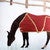 Winter Horse Pillow
