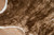 Brown Brindle Cowhide Rug