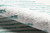Agave Diamonds Rug - 2 x 3
