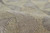 Prickly Pear Western Rug - 10 x 14