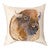 Wilderness Majesty Bison Pillow