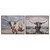 Texas Trails Longhorn Wall Art - Set of 2