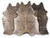 Gold Specked Brindle Cowhide Rugs