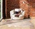 Cream Cowhide Rug - Medium