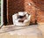Cream Cowhide Rug - Large