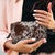 Cowhide Beauty Traveler Bag