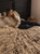Ranch Hand Toile Western Quilt Bed Set - Twin
