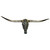 Authentic Longhorn Skull with Green Stone