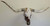 Authentic Longhorn Skull with Cowhide & Copper Glass