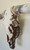 Authentic Longhorn Skull with Cowhide & Copper Glass