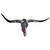Authentic Black Longhorn Skull with Metal Star