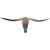 Authentic Longhorn Skull with Brindle Cowhide & Jade Glass