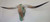 Authentic Longhorn Skull with Brindle Cowhide & Jade Glass