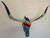 Authentic Longhorn Skull with Mexican Serape Cowhide & Black Glass