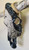 Authentic Longhorn Skull with Cowhide & Black Glass